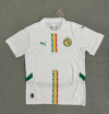 Fans Version 25/26 Senegal Home