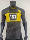 Player version 24/25 Dortmund away