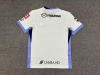 Fans Version 25/26 Hiroshima Sanfrecce away - Image 2