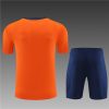 24/25 Netherlands Orange Training Kits - Image 6