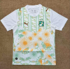 Fans Version 26/27 Ivory Coast away