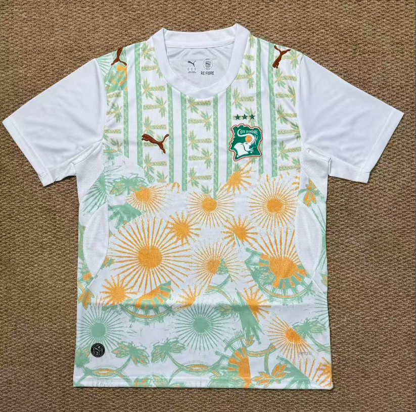 Fans Version 26/27 Ivory Coast away - Image 1