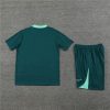 24/25 Tottenham blackish green Training Kits - Image 18