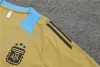 24/25 Argentina golden Training Kits - Image 16