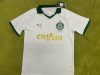 Fans Version 24∕25 Palmeiras away
