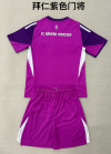 Adults kits 25/26 Bayern purple goalkeeper - Image 2