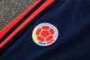 26/27 Half Pull Colombia Yellow Tracksuit - Image 6