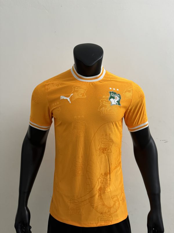 Player Version 25/26 Ivory Coast team logo orange player - Image 1