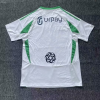 Fan version 24/25 Saudi Arabia away - Image 2