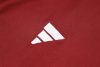 24/25 Brazil Internacional Jujube red half zip Tracksuit - Image 20