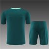 24/25 Tottenham blackish green Training Kits - Image 5