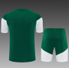 26/27 Italian green Adults Training Kits - Image 2