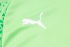 24/25 Palmeiras green Tracksuit - Image 16