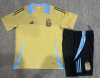 24/25 Argentina golden kid Training Kits - Image 3
