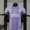 Player Version 25/26 Brighton away