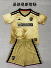 Adults kits 26/27 St. Louis away