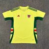 Fans Version 24/25 Wales Away