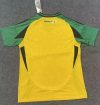 Fans Version 24/25 jamaica home - Image 2