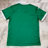 Fans Version 25/26 Palmeiras home - Image 2