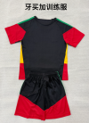 Adults kits 26/27 Jamaican training suit - Image 2
