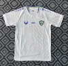 Fan version 26/27 Uzbekistan away