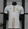 Player Version 25/26 Senegalese away