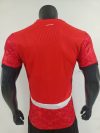 Player Version 25/26 Egypt Home - Image 2