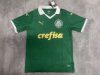 Fans Version 24/25 Palmeiras home