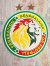 Player Version 26/27 Senegal home 2 star edition - Image 5