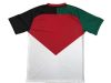 Fans Version 24/25 Palestine national flag - Image 2