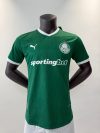 Player Version 25/26 Palmeiras home field