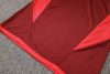 24/25 Brazil Internacional Jujube red half zip Tracksuit - Image 16