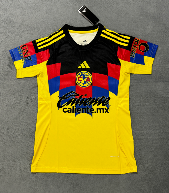 Fans Version 25/26 Americas home women - Image 1