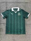 Fans Version 25/26 Plymouth Home