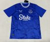 Fans version 24/25 Everton home