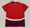 Fans Version 24/25 Switzerland home - Image 2