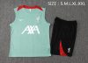 24/25 Liverpool bean green vest - Image 22