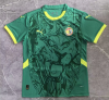 Fans Version 24/25 Senegal Away Jersey
