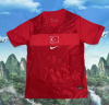 Fans Version 26/27 Turkey away