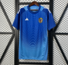 Fans Version 25/26 Venezuelan Goalkeeper