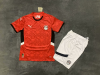 Adults kits25/26 Egypt home