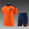 24/25 Netherlands Orange Training Kits - Image 3