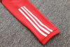 24/25 Brazil Internacional Jujube red half zip Tracksuit - Image 25