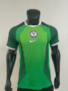 Player Version 26/27 Nigeria home