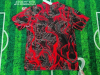 Fans Version 25/26 Japan - Image 2
