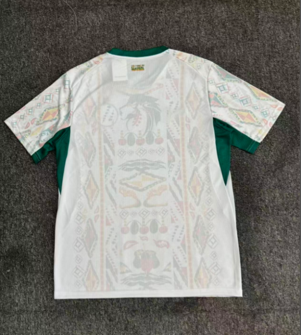 Fan version 25/26 Senegal home - Image 2