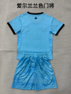Adults kits 26/27 Ireland Blue goalkeeper - Image 2