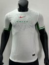 Player Version 24/25 Nigeria away