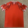 Fan version 26/27 Tunisia Home - Image 2