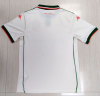 Fan version 25/26 Nice Away - Image 2